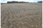 Property photo 17 - 75.3 Acres Offered in 2 Tracts